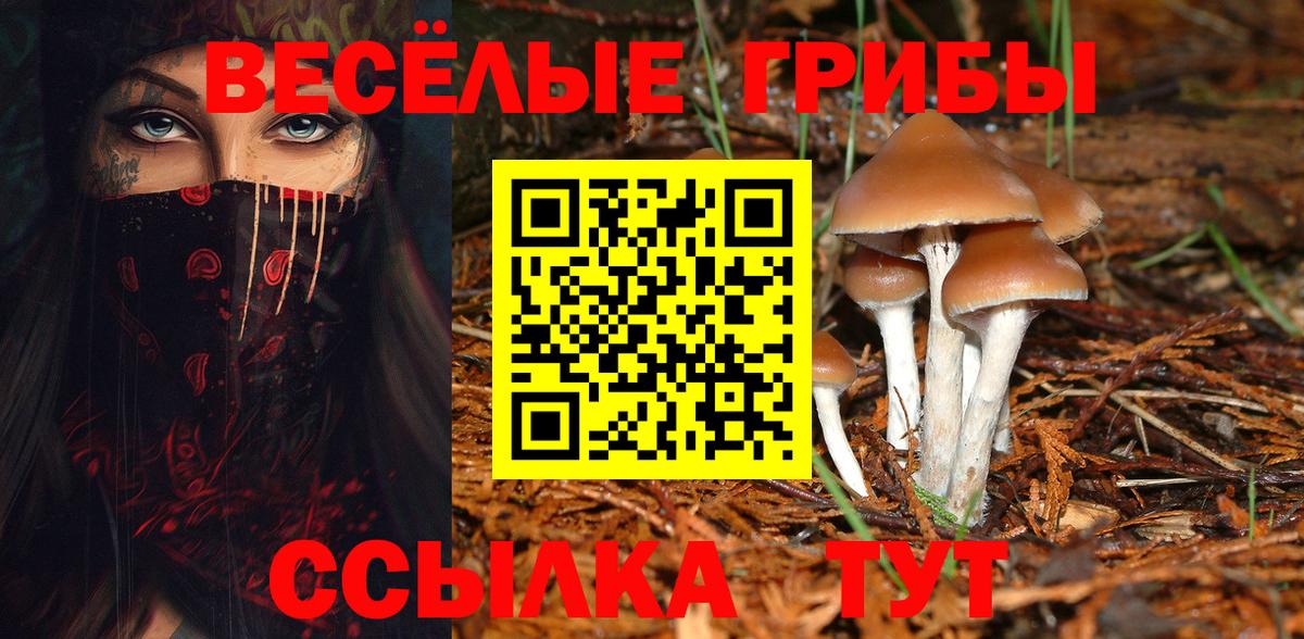 Псилоцибиновые грибы GOLDEN TEACHER  Вход с VPN  купить закладку  Чистополь 