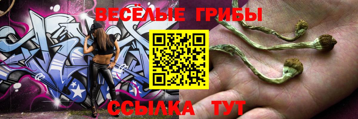 Галлюциногенные грибы мухоморы Чистополь